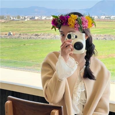 大鸟和小鸟